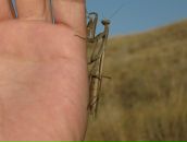 Дмитрий Селентьев фотография #22 (источник - https://vk.com/id418168)