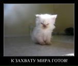 Тима Мороз фотография #11 (источник - https://vk.com/id249775)