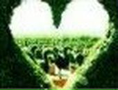 Юлія Карплюк фотография #7 (источник - https://vk.com/id16525248)