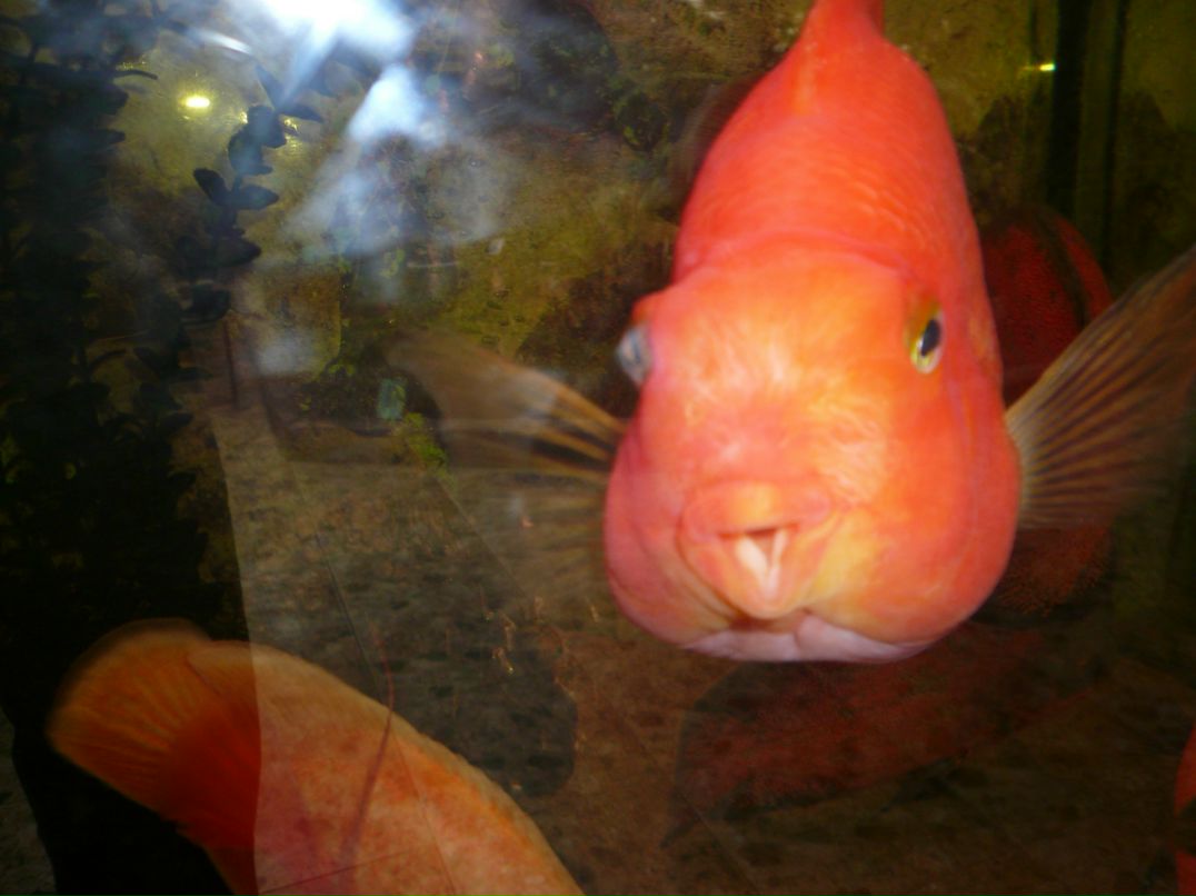 Ильдар Янгиров фотография #14