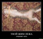 Фотография Бычкова Максима