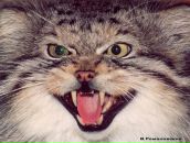 Михаил Иванов фотография #45 (источник - https://vk.com/id32927)