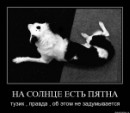 Вася Гайфуллин фотография #27 (источник - https://vk.com/id10224501)