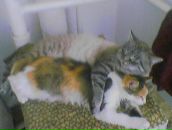 Олеся Колеснік фотография #50 (источник - https://vk.com/id80676129)