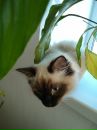 Фотография Здобновой Анюты