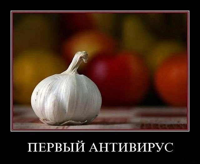 Дмитрий Ковальчук фотография #46