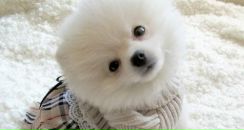 Іра Юхно фотография #44 (источник - https://vk.com/id244272870)