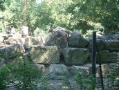 Віка Богатюк фотография #28 (источник - https://vk.com/id77462187)