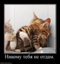 Аліночка Росинюк фотография #4 (источник - https://vk.com/id173652160)