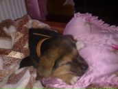 Наталія Мельниченко фотография #18 (источник - https://vk.com/id60424407)