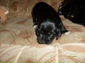 Фотография Суворовой Аллы