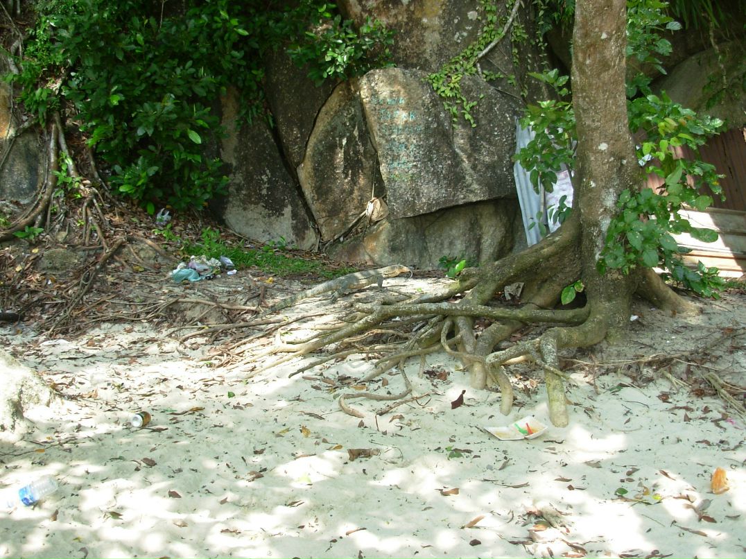 Валерий Иванов фотография #14