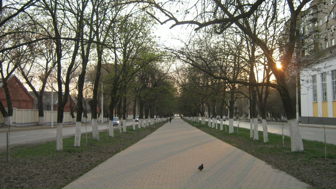 №12, Анна Воробьева, Новочеркасск, Россия №12, Анна Воробьева, Новочеркасск, Россия