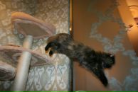 Сандра Ищенко фотография #3 (источник - https://vk.com/id854765)