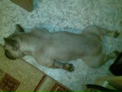 Фотография Мельникова Юрия