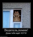 Хэй _куликов_ фотография #23 (источник - https://vk.com/id63813271)