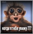 Вікуся Козак фотография #6 (источник - https://vk.com/id37152939)