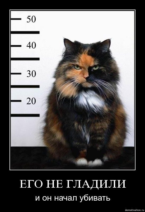 Massimo Massimo фотография #21