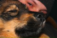 Фотография Гафарова Романа