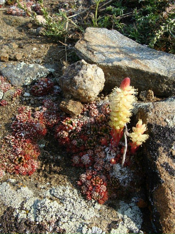 Игорь Богадевич фотография #11