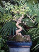 Дмитрий Денисов фотография #34 (источник - https://vk.com/id110375)