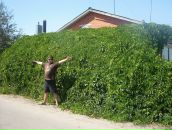 Фотография Кучерова Романа