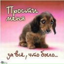 Діана Тимків фотография #11 (источник - https://vk.com/id90533781)