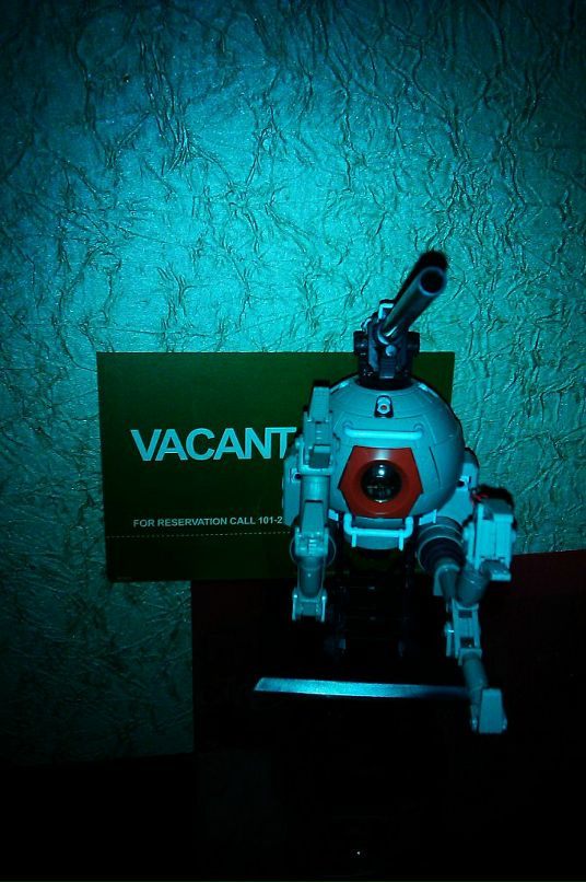 Дмитрий Ларин фотография #27