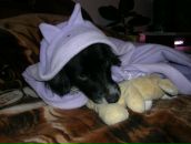 Надія Венцко фотография #3 (источник - https://vk.com/id55754847)