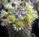 Фотография Мироновой Людмилы