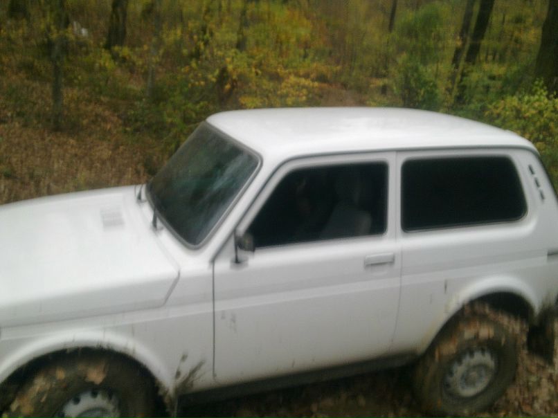 Дэвид Чарквиани фотография #12