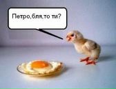 Ігор Кусий фотография #8 (источник - https://vk.com/id20692879)