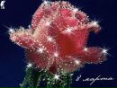 Фотография Казанцевой Веры