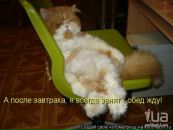 Дмитрій Сердюк фотография #47 (источник - https://vk.com/id132494203)
