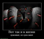 Дмитрий Зацепин фотография #21 (источник - https://vk.com/id2664635)