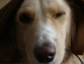 Денис Янків фотография #4 (источник - https://vk.com/id90753863)