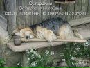 Фотография Духаниной Наташи