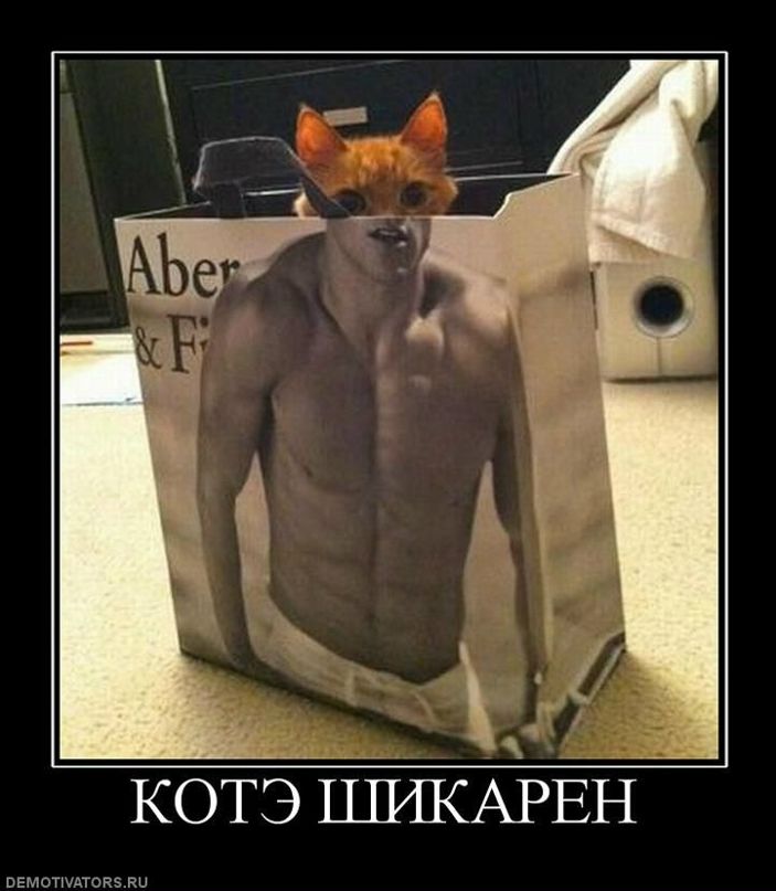 Сергей Карабиневич фотография #36