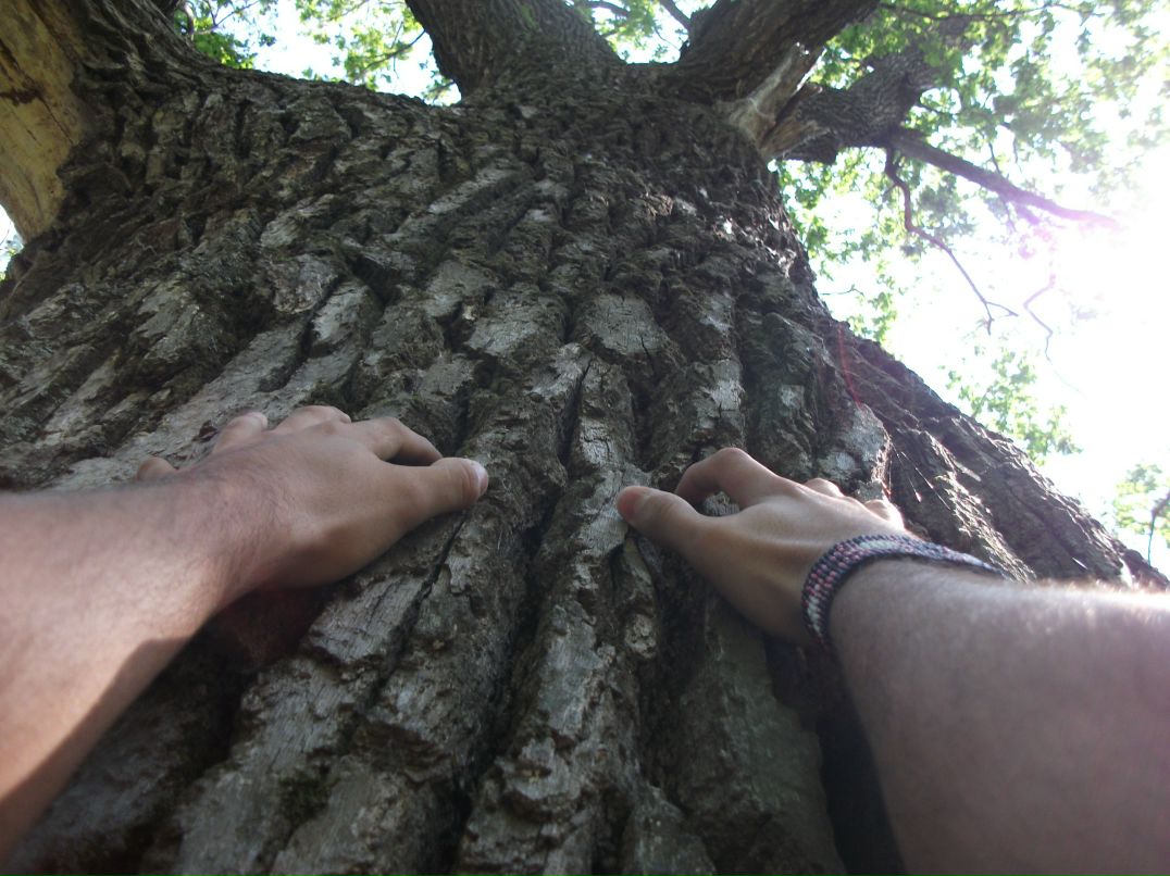 Иван Иваничев фотография #38