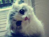 Фотография Константиновны Любови