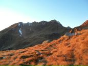 Міша Вінтоняк фотография #6 (источник - https://vk.com/id13380909)