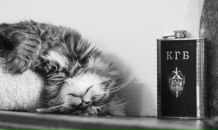 Фотография Ярославовой Ярославы