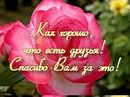 Фотография Ванюхиной Алины