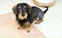 Роман Масалёв фотография #12 (источник - https://vk.com/id108017)