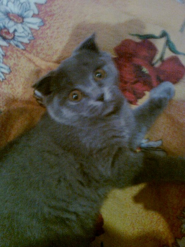 Марина Ермоченко фотография #6