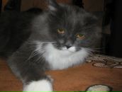 Фотография Осиповой Светланы