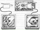 Дмитрий Сухоручкин фотография #17 (источник - https://vk.com/id29856482)