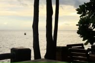 Фотография Margo Chateau