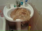 Фотография Анисимовой Елены