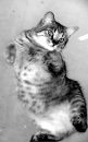 Сергій Дворник фотография #31 (источник - https://vk.com/id7279676)
